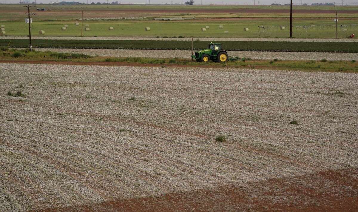 Drought takes toll on country’s largest cotton producer