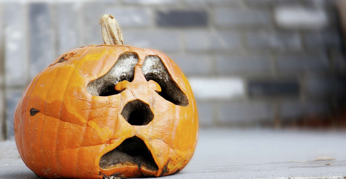 A rotting jack-o-lantern can be scary in its own right as Halloween nears, but not necessarily in the way intended. A few tips can help keep that carved produce fresh through Halloween.