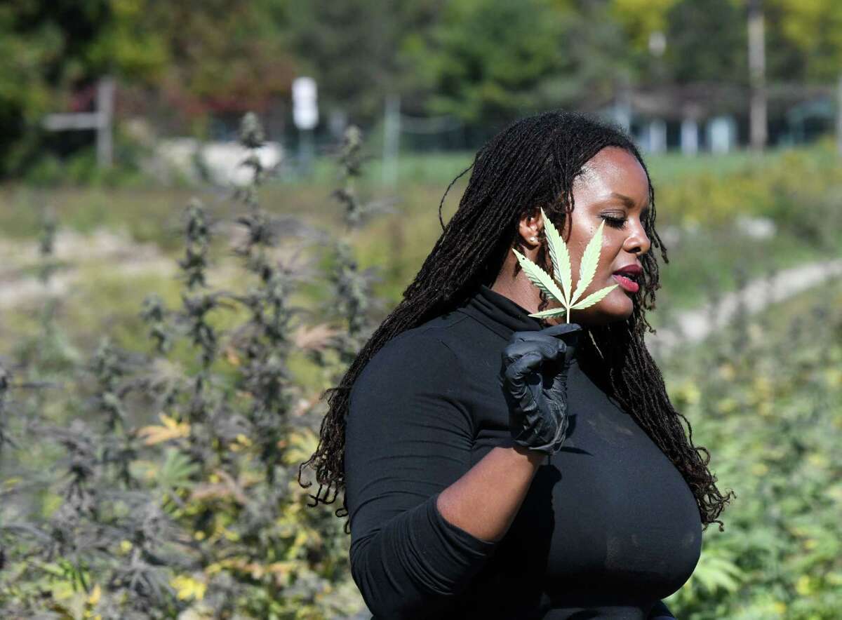 Jasmine Burems, co-owner of Claudine Field Apothecary farm, holds a marijuana leaf while leading a tour of the farm’s marijuana field on Friday, Oct. 7, 2022, during a fall harvest farm tour organized by the state Office of Cannabis Management in Columbia County.