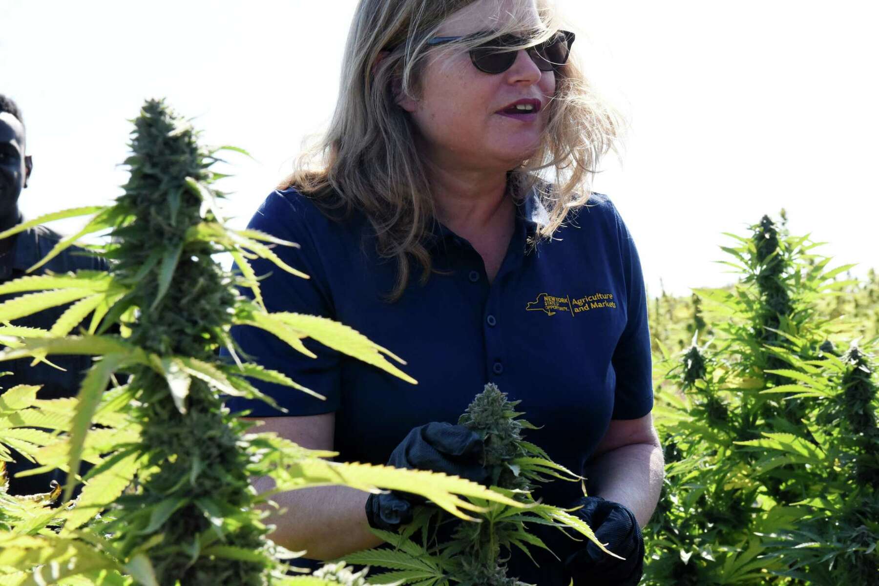 New York to make first marijuana sales for recreational use on Dec. 29