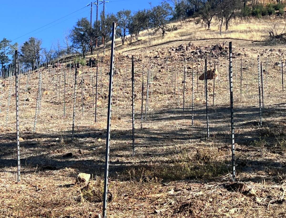  Jayson Woodbridge has filed a lawsuit against Napa County that claims the county’s enforcement of environmental regulations will increase the fire risk on his property, which was severely damaged in the 2020 Glass Fire.