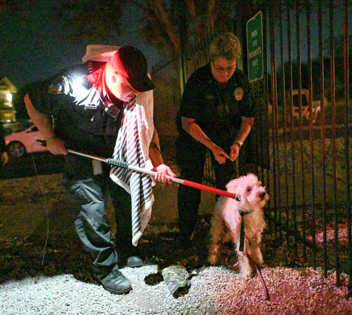 Animal Care Officer Estephen Centeno, left, and Sgt. Melissa Smith restrain a dog they named “Mikey” as they remove him from fence he was tied to at an apartment complex on Timber View. The dog was unwanted and left there, with food and water.