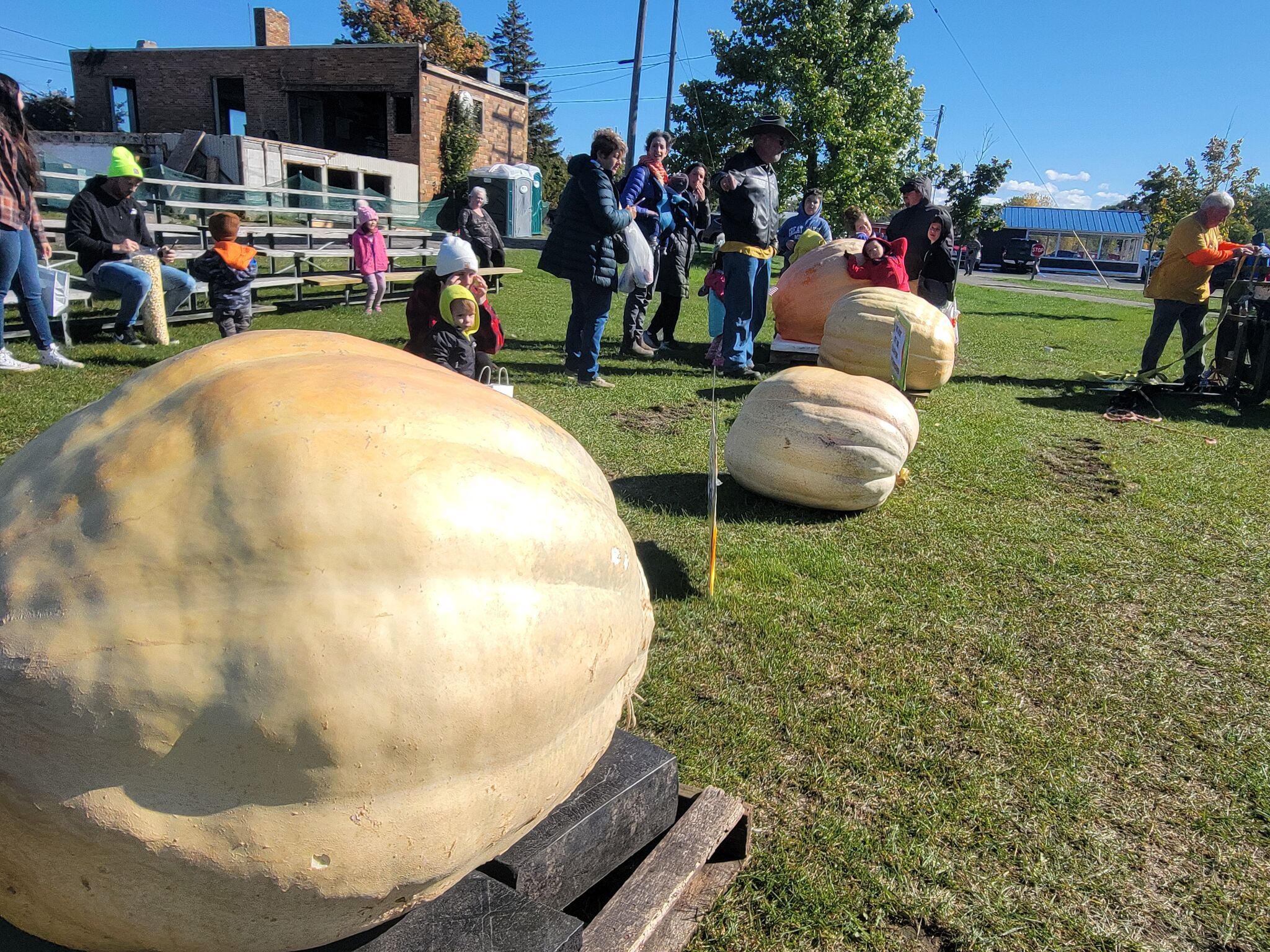 Giant pumpkins and beer headline northern Michigan fall festival