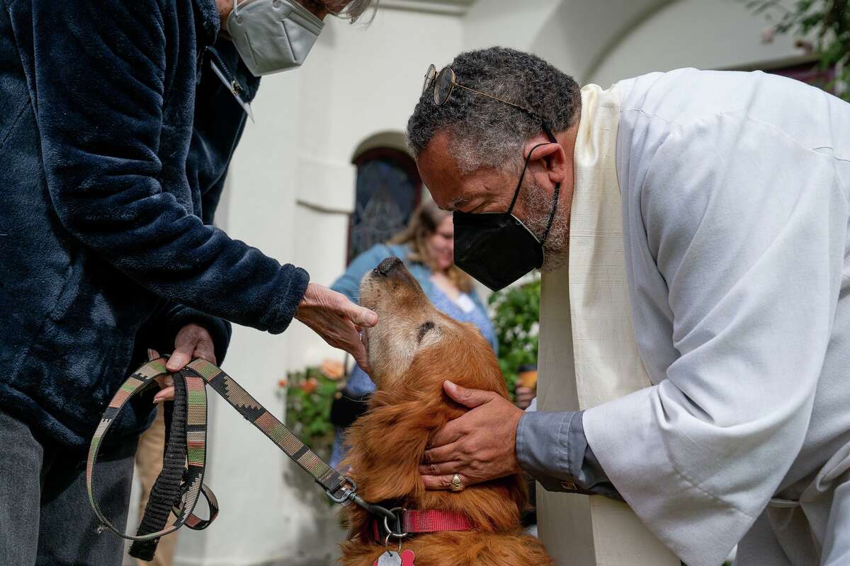 Rev. Eric Metoyer blesses Rusty at the Blessing of the Animals at St. Francis Episcopal Church in S.F.