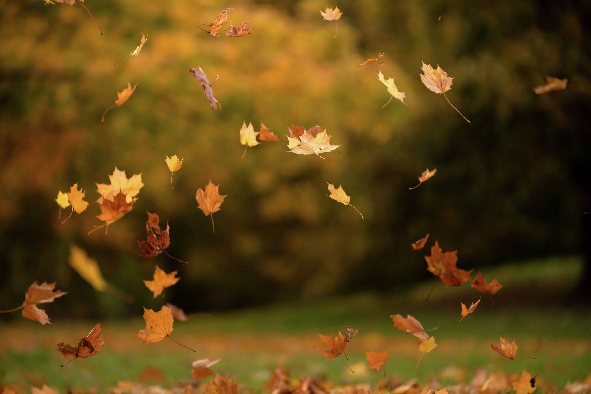 San Antonio Fall Weather Two Cold Fronts Coming This Week