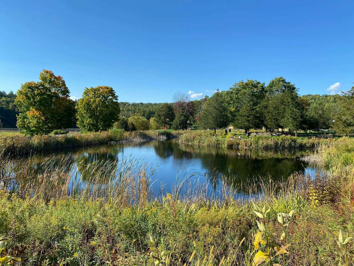 A look at CT's new winery, Worthington Winery & Vineyard in Somers