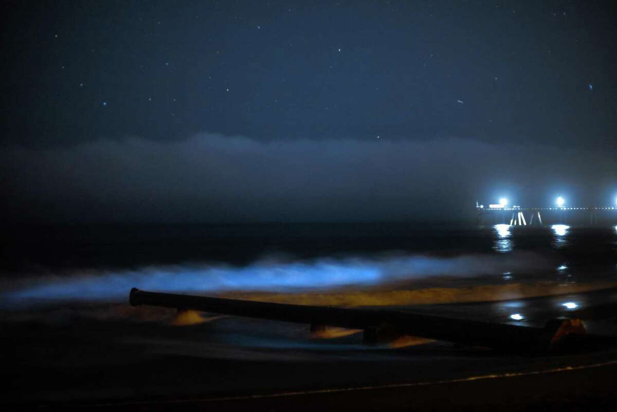 bioluminescent bay at night