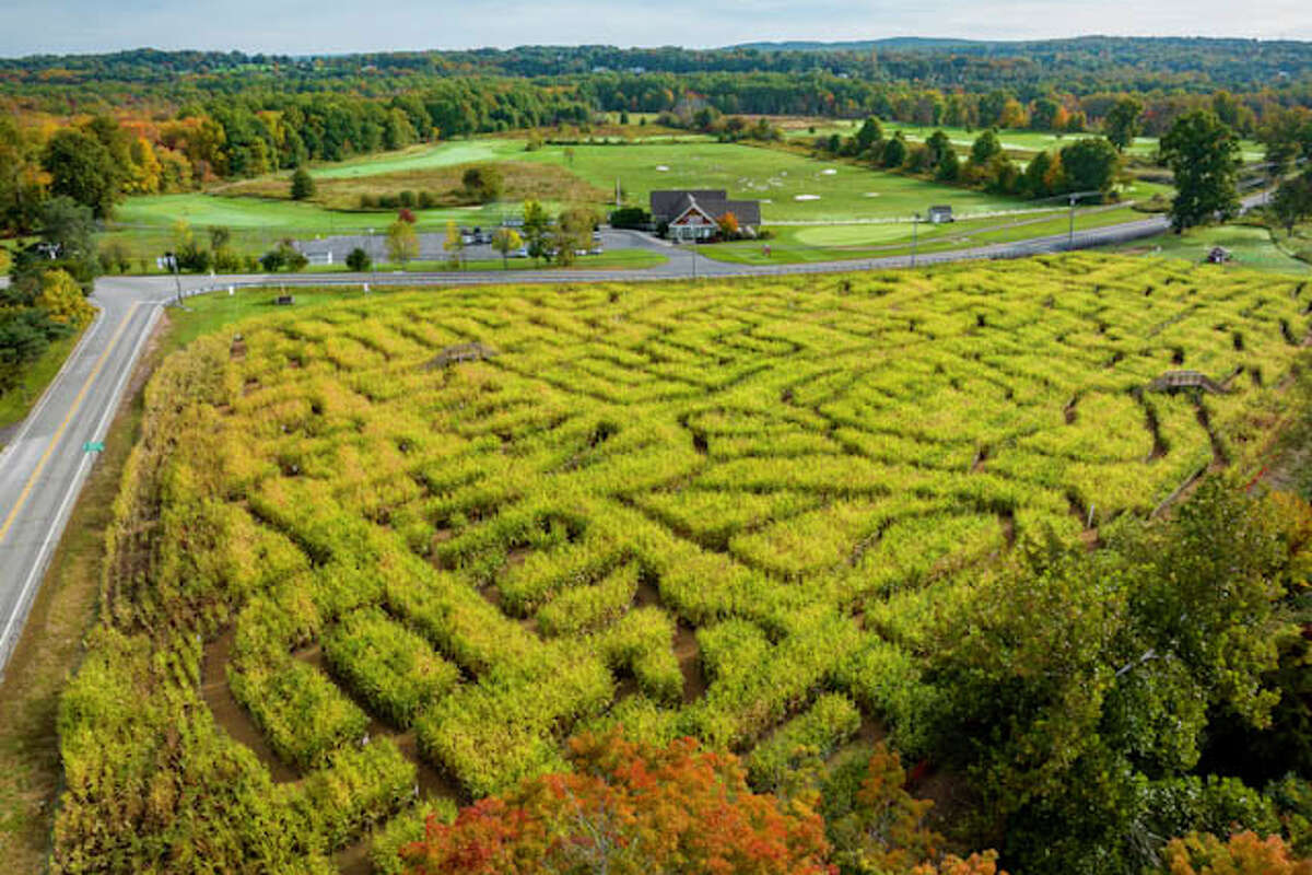 CT corn maze: Making a Ben Franklin maze at Lyman Orchards