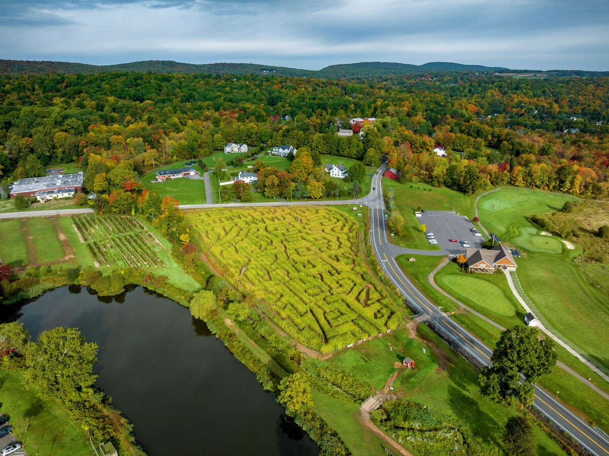 CT corn maze Making a Ben Franklin maze at Lyman Orchards