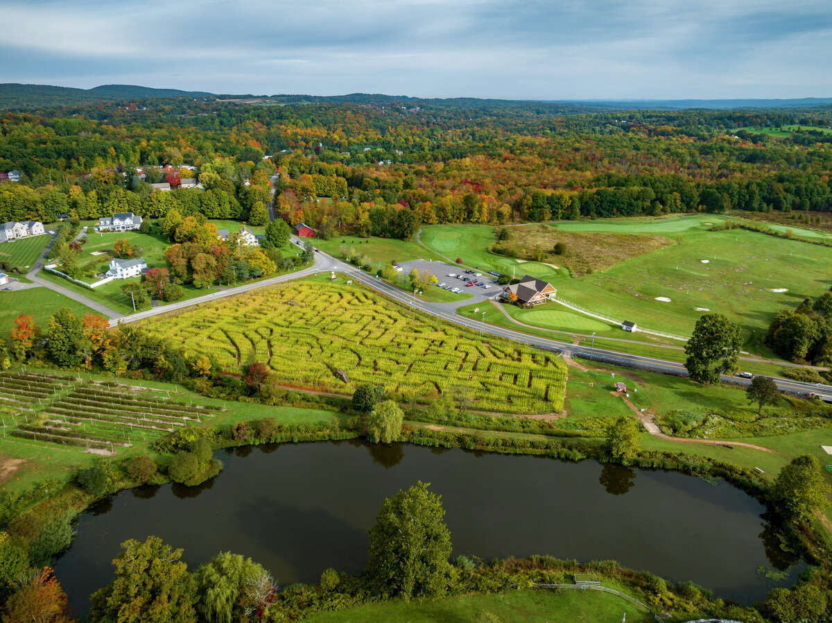 CT's Colonialera orchards balance history and innovation