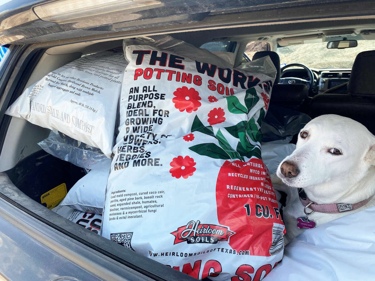 For home gardeners who are looking for a bagged custom mix, Heirloom Soils is currently offered in 30 retail stores in the Houston area.
