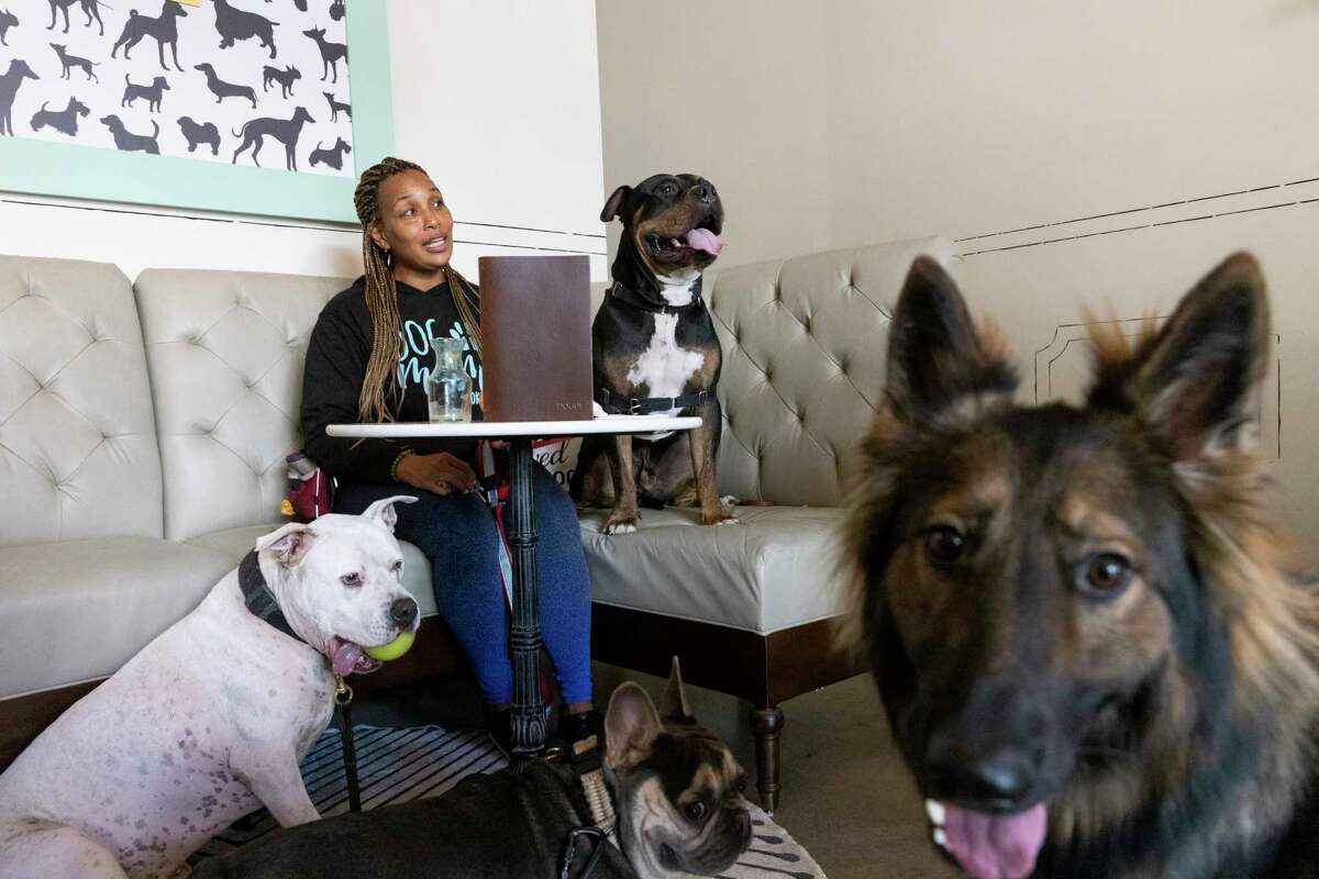 Kristal Jordan带着她的狗Onyx和Tyson在旧金山的Dogue和另一位顾客交谈。