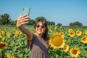 Where to find sunflowers, pumpkins, corn mazes for your IG page