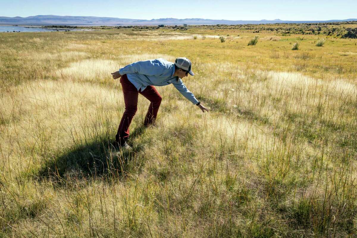 Nora Livingston, lead naturalist guide for the Mono Lake Committee, points out grasses and other vegetation near a spring that are at risk of being trampled by wild horses.