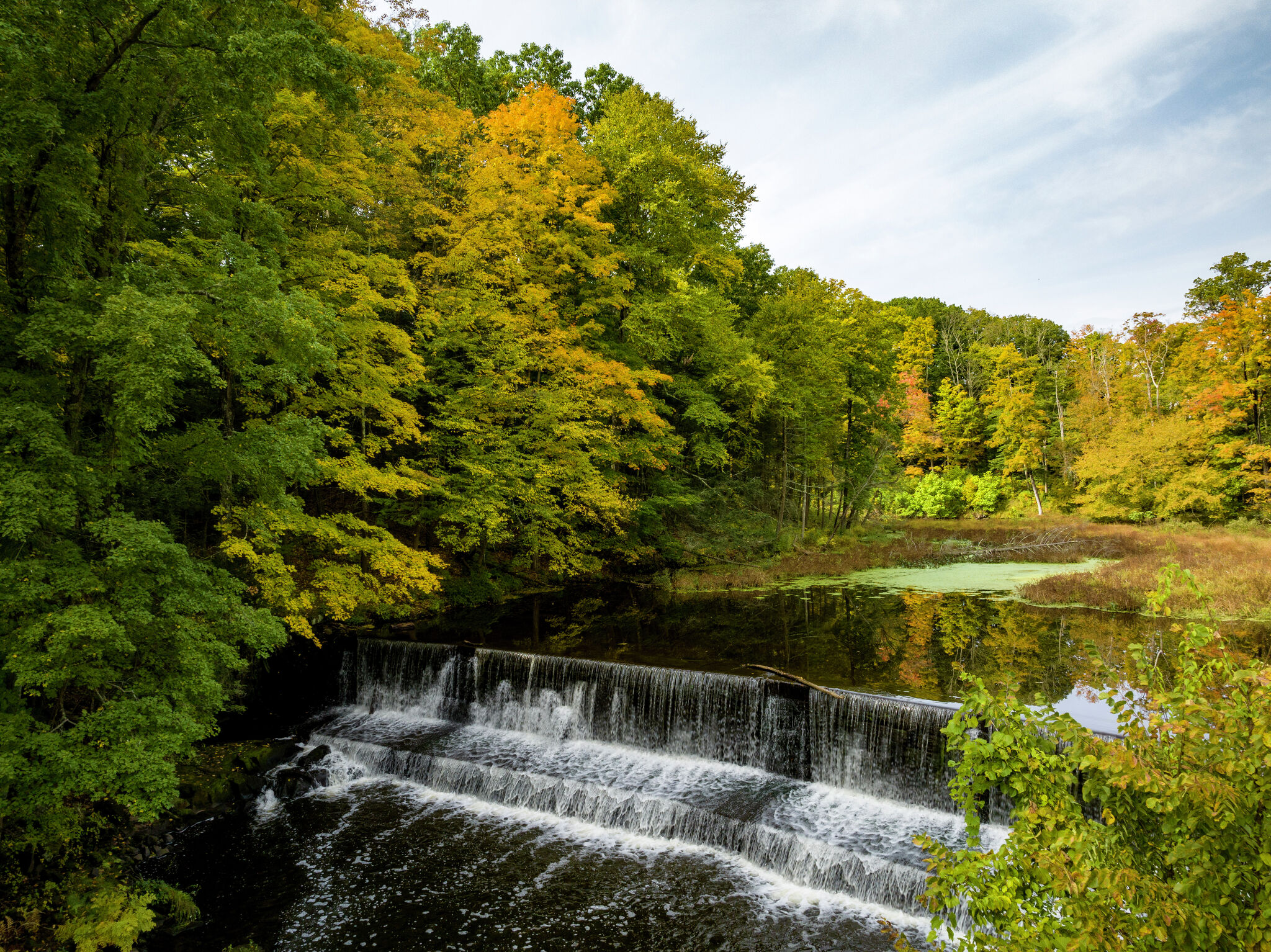 Connecticut temporarily banning alcohol at seven state parks - Vimarsana News