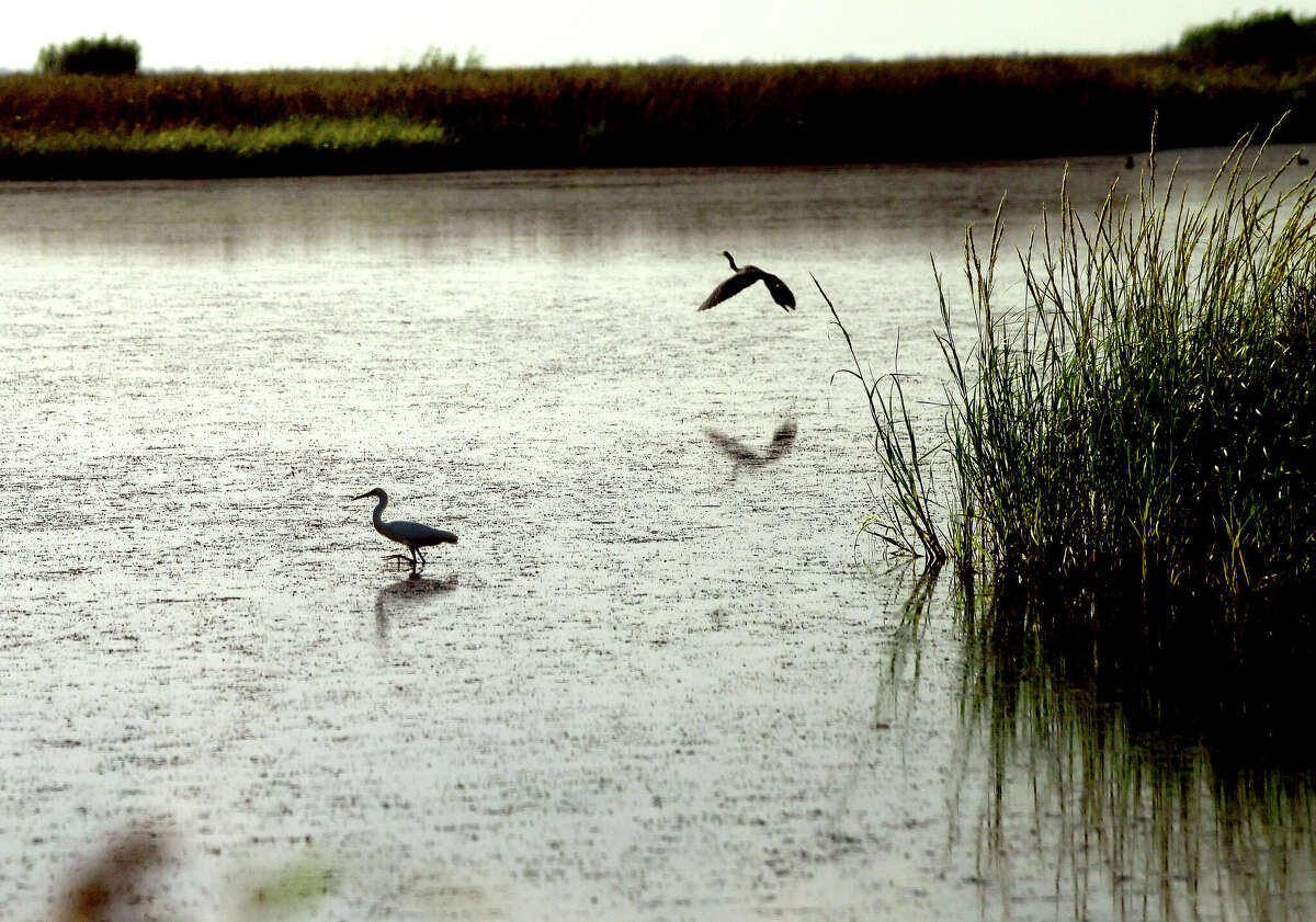 GUEST COLUMN Texas waters contain too much pollution