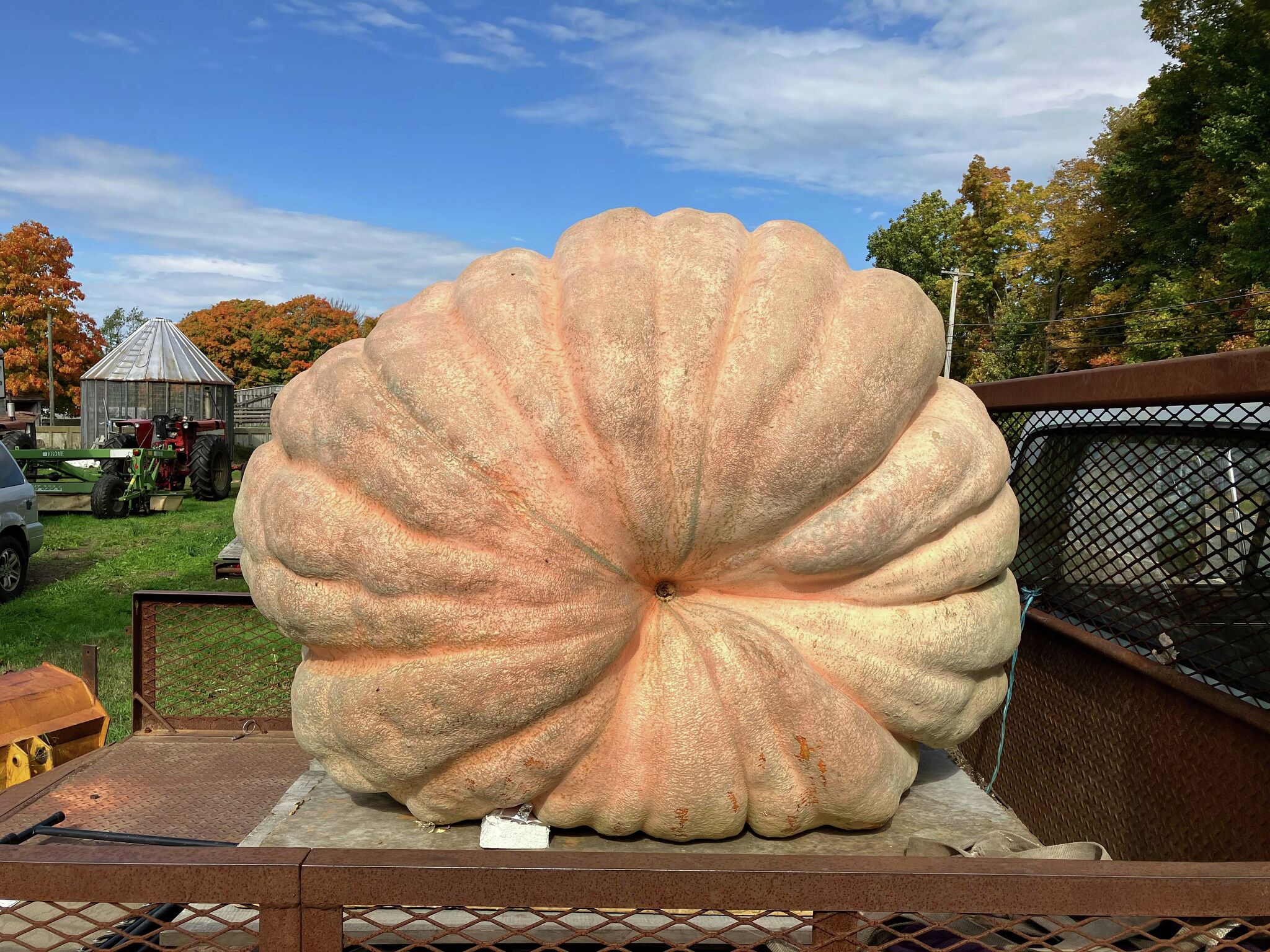 CT man who grew heaviest pumpkin in state aims for world record