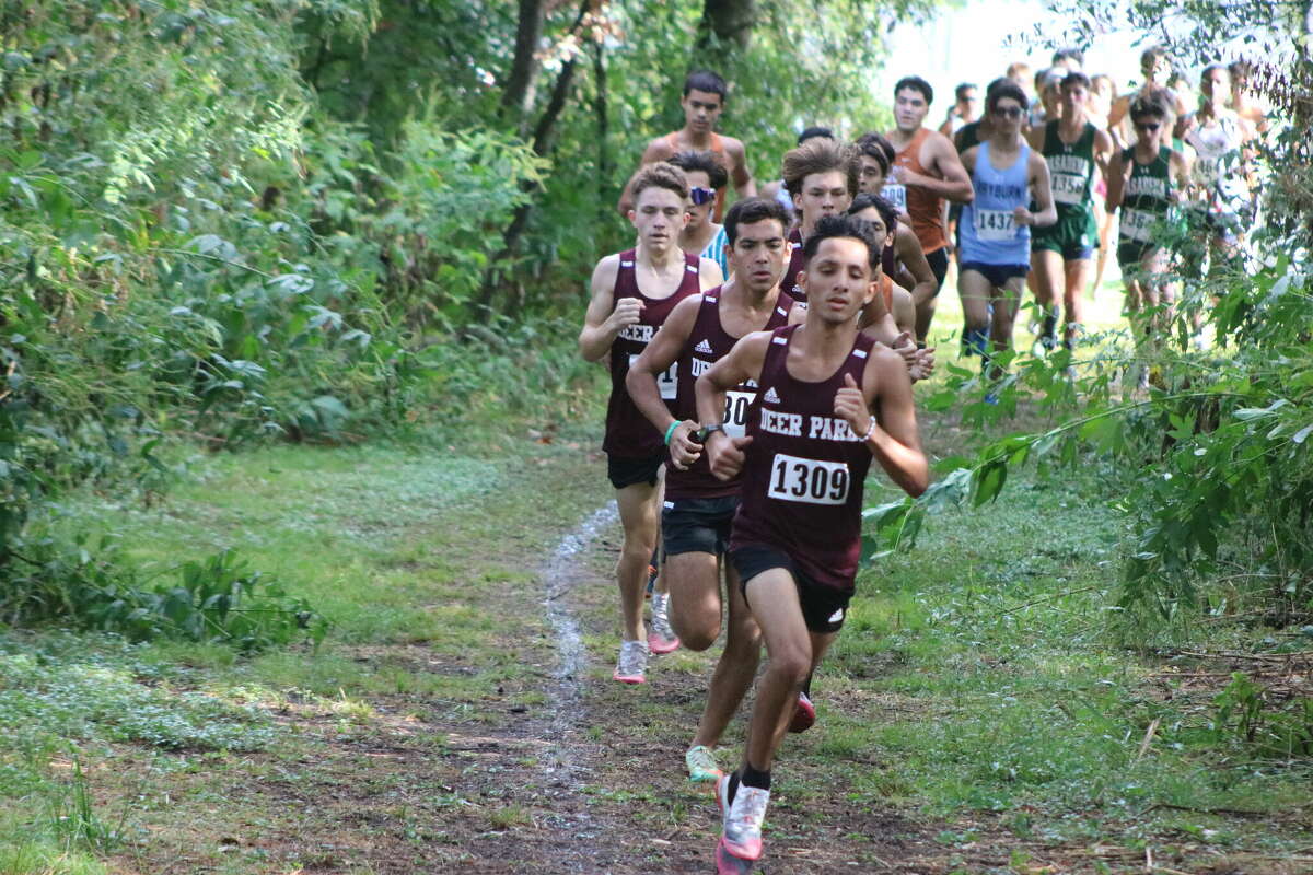 A host of Deer Park runners motor through the woods en route to winning the district boys championship Thursday morning.