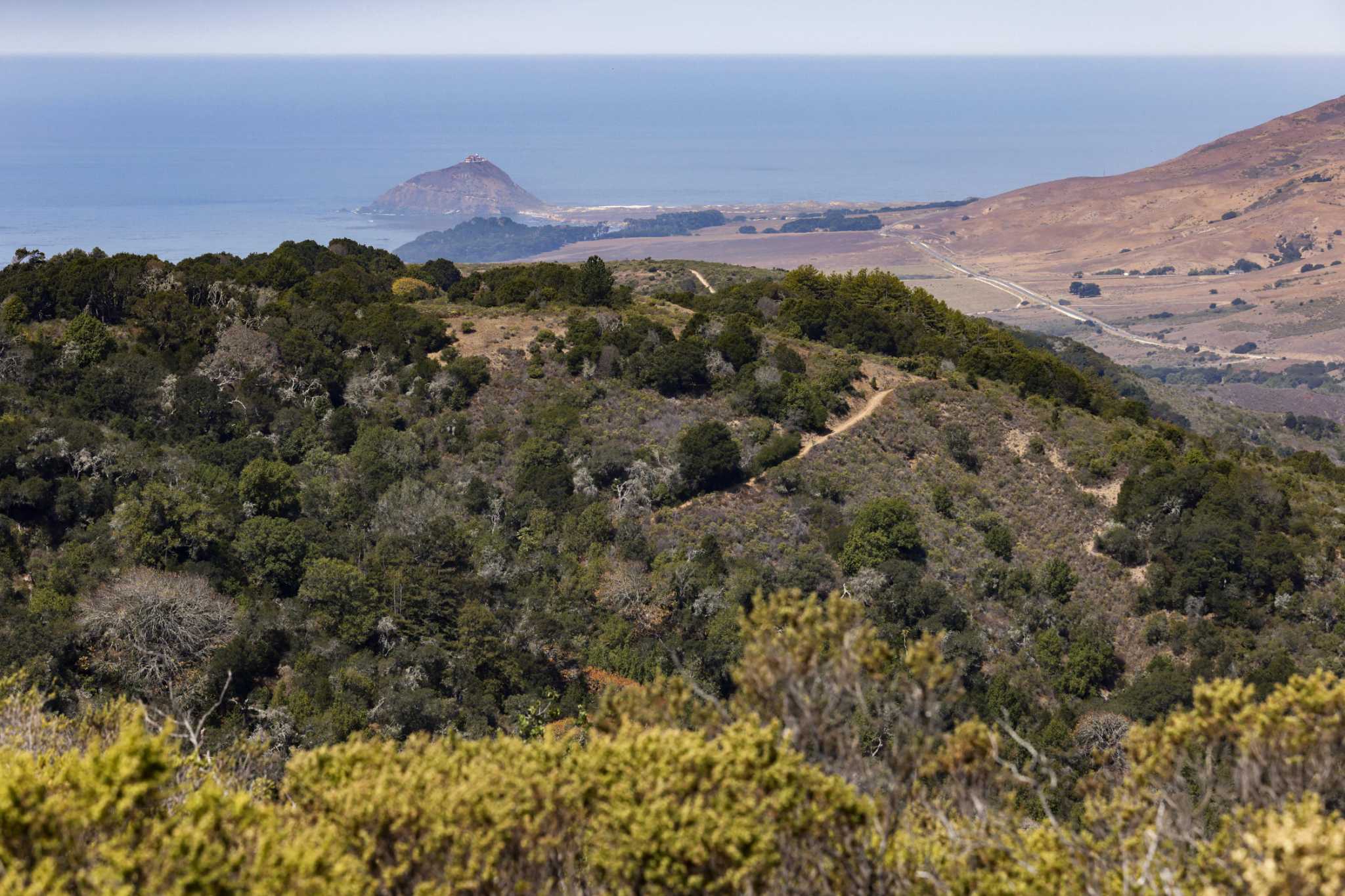 How Big Sur’s luxury resorts plan to protect themselves from the next