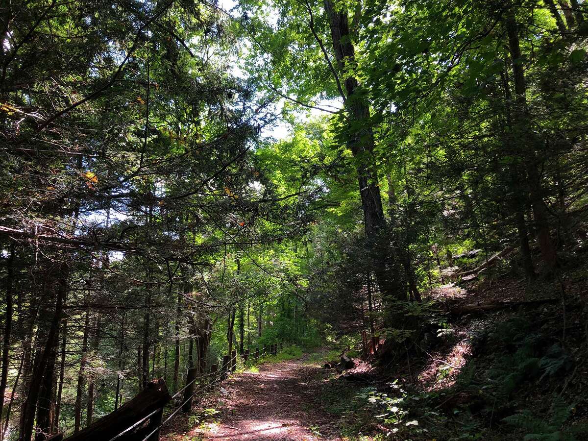 Take a historic hike through Rocky Glen State Park in Sandy Hook