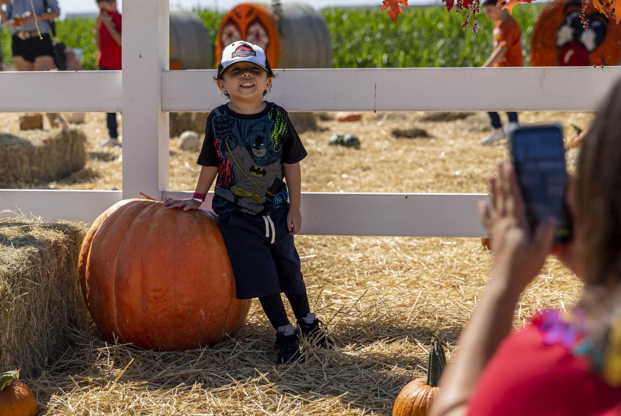 Prepare for near-freezing temps and blustery winds this week in San ... San antonio business closures cold weather