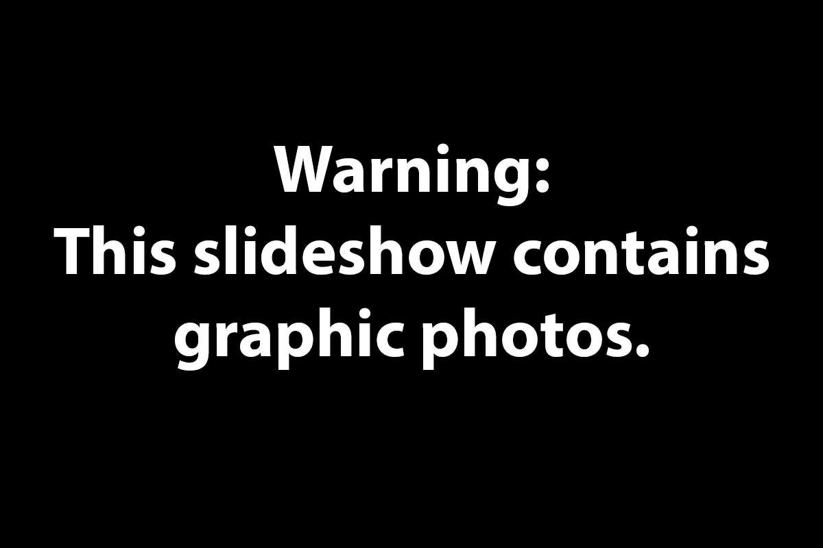 Warning: This slideshow contains graphic photos.