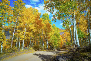 Go now! Peak fall color arrives in Eastern Sierra