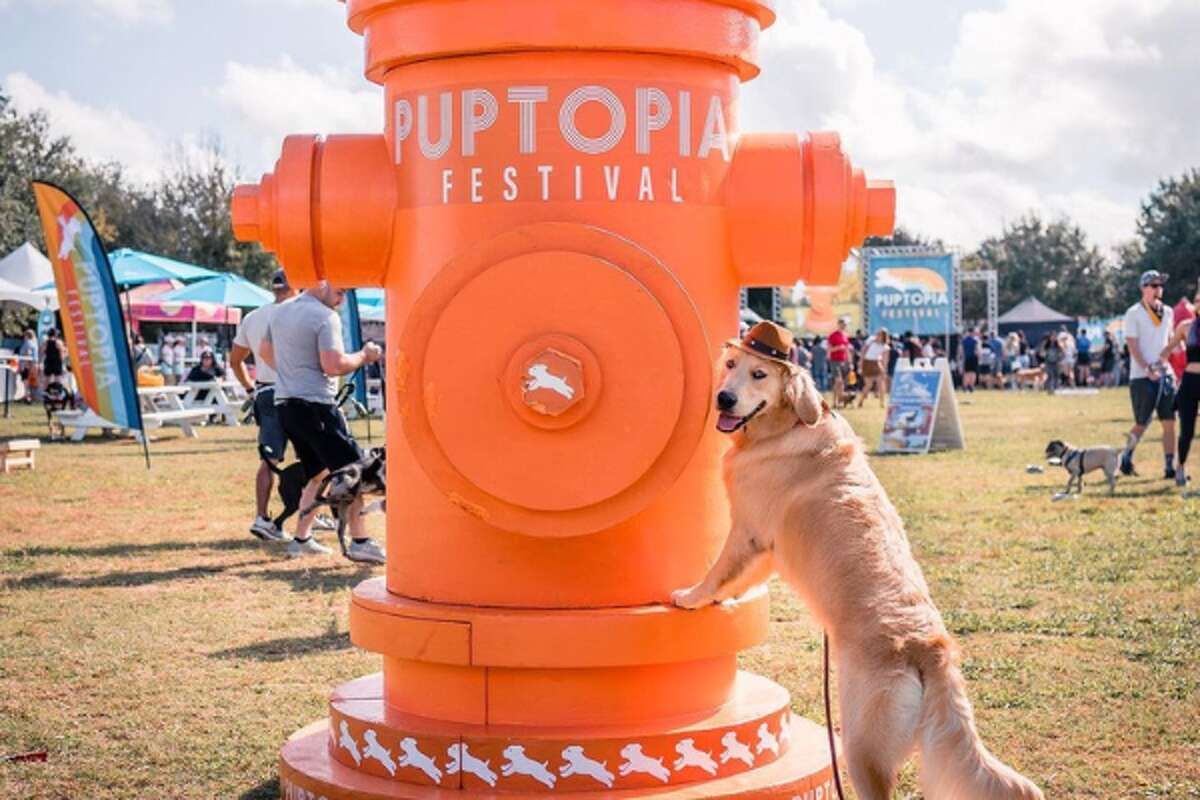 Puptopia Festival heads to Austin later this month