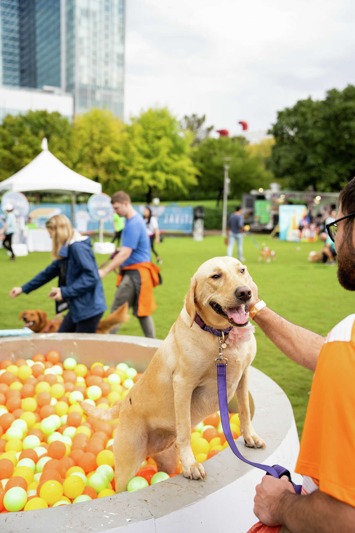 Puptopia Festival heads to Austin later this month