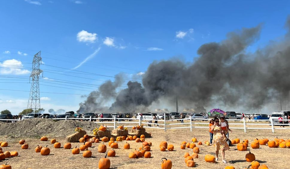 Video Fire burns 73 vehicles at Texas pumpkin patch