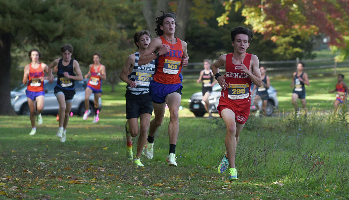 Danbury, Ridgefield's Hergenrother FCIAC boys cross country champs