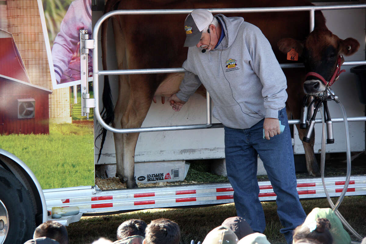 Dairy farmer Ralph Keel shows students at Kreitner Elementary School in Collinsville how he used to manually milk cows like Grace, and why he no longer has to because of technology. 
