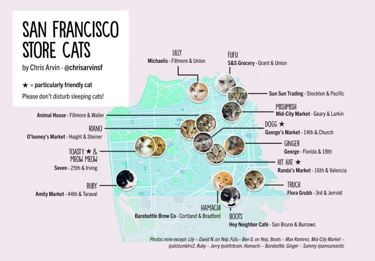 San Francisco designer Chris Arvin created a cat map for the city of the city's iconic store cats.