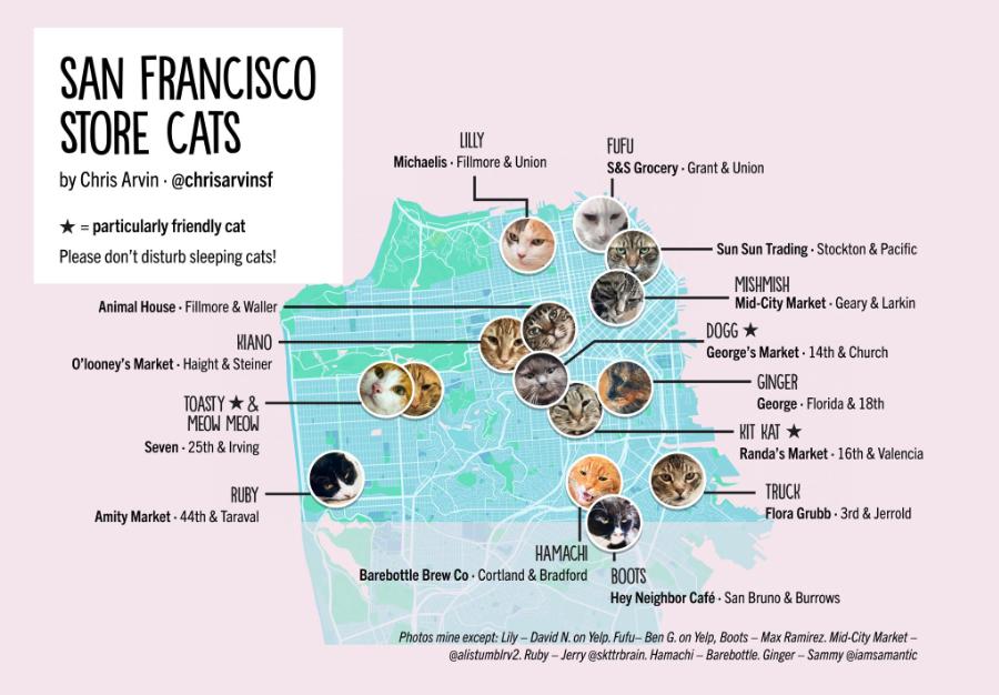 Cats' coming to San Francisco