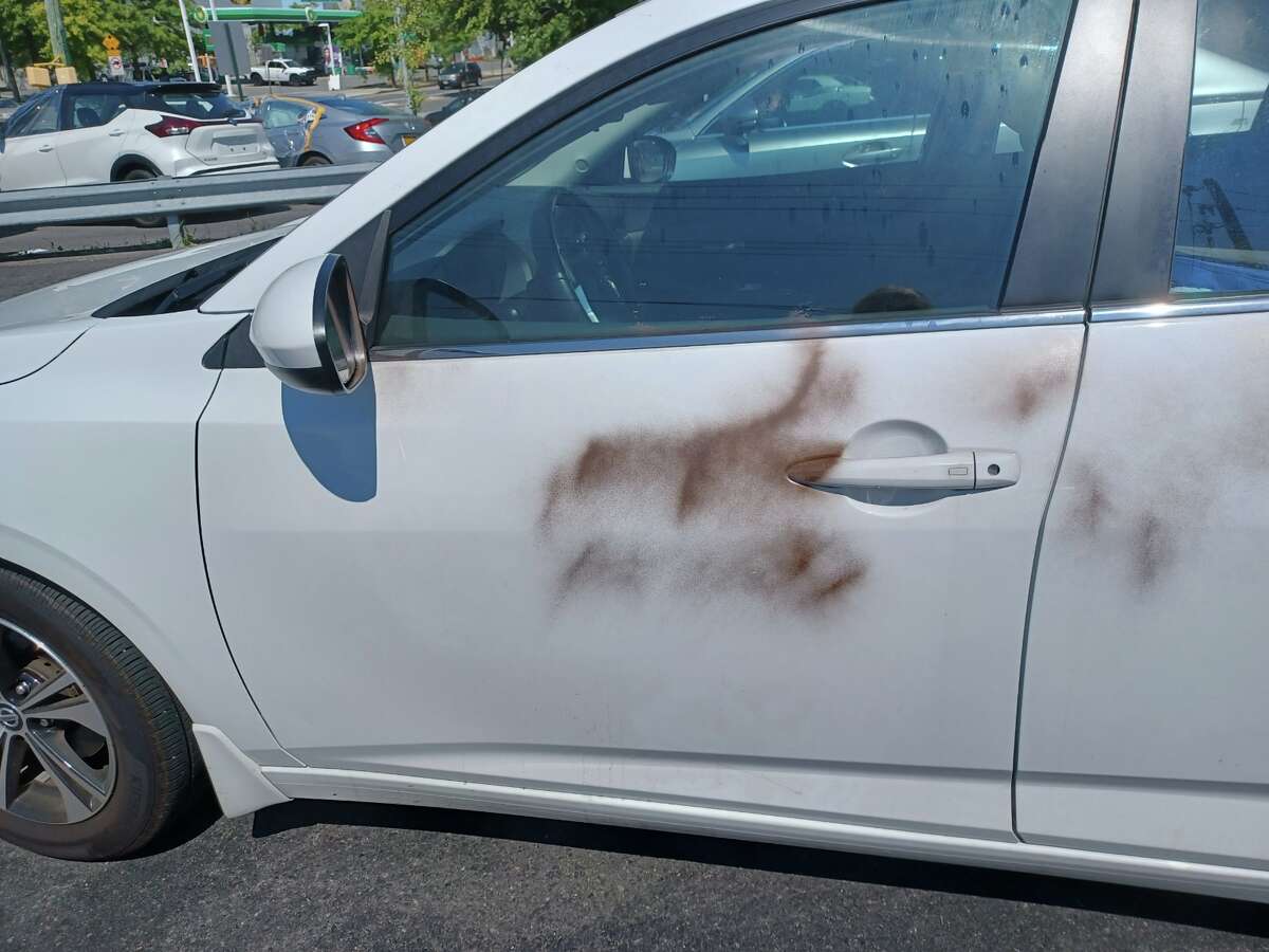 East Hampton voting official charged with felony vandalism