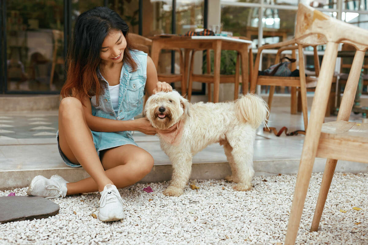 The 5 best dogfriendly patios in Houston