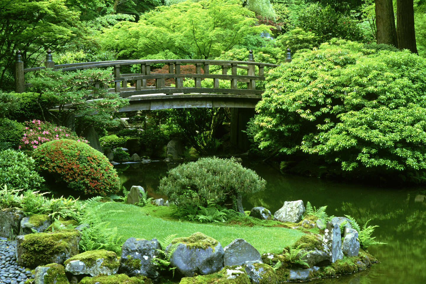 The best Japanese gardens in the US, according to TripAdvisor