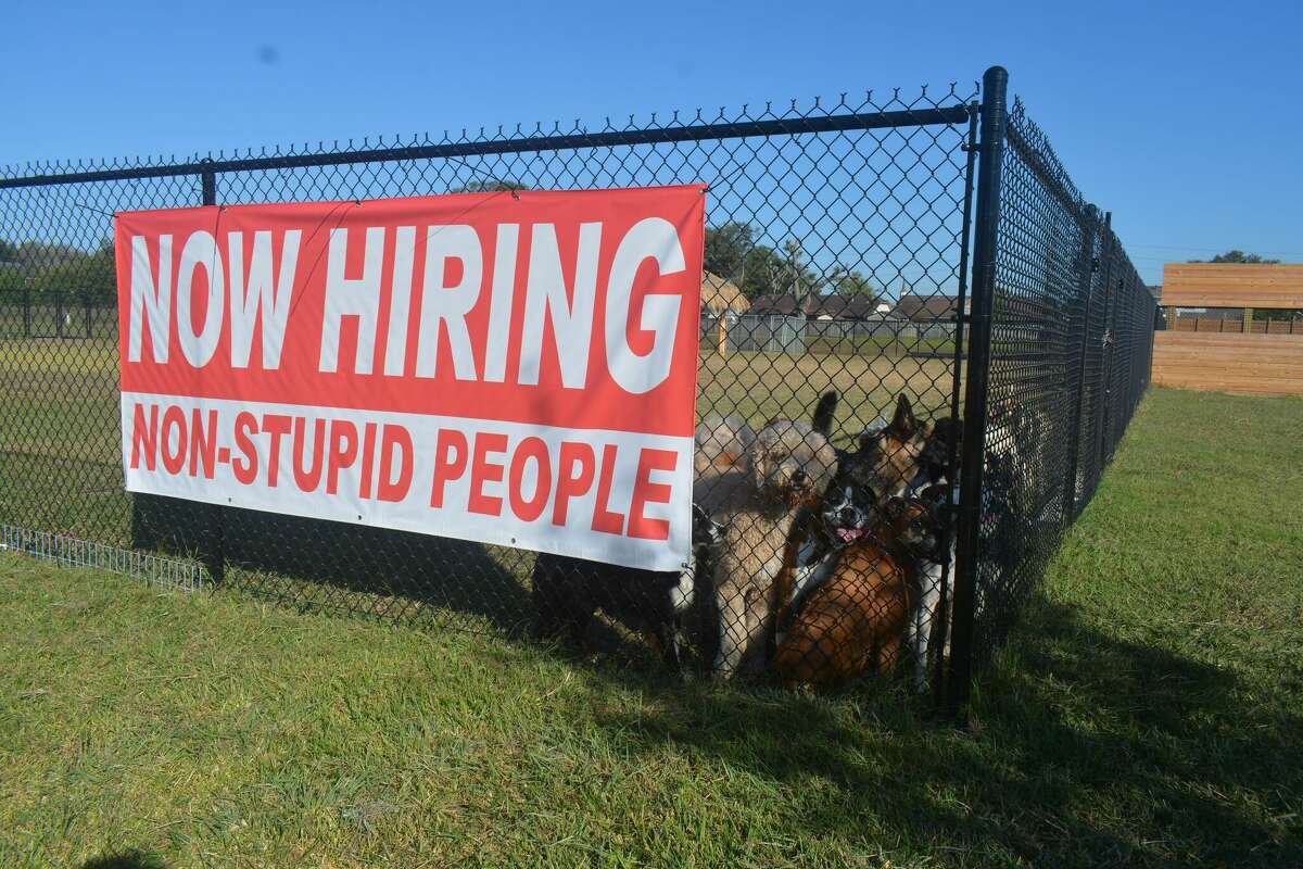 Story photo for 'Now hiring non-stupid people' sign at Pasadena pet resort draws (mostly) positive reactions