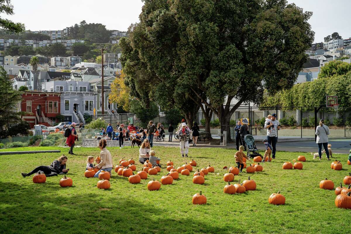 Families and community members pick out pumpkins to carve for the contest.