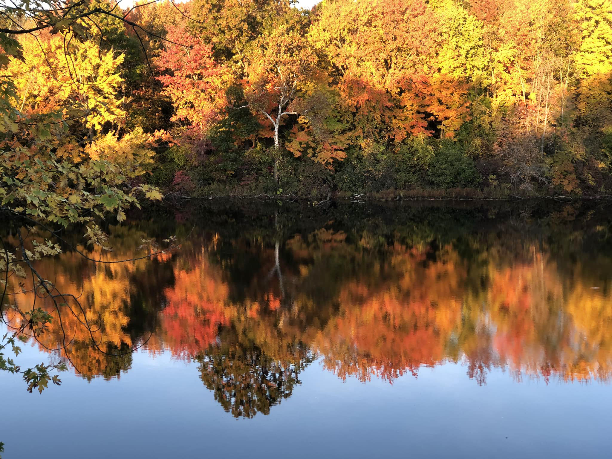 'Turtle tale' highlights Middletown's Pameacha Pond concerns