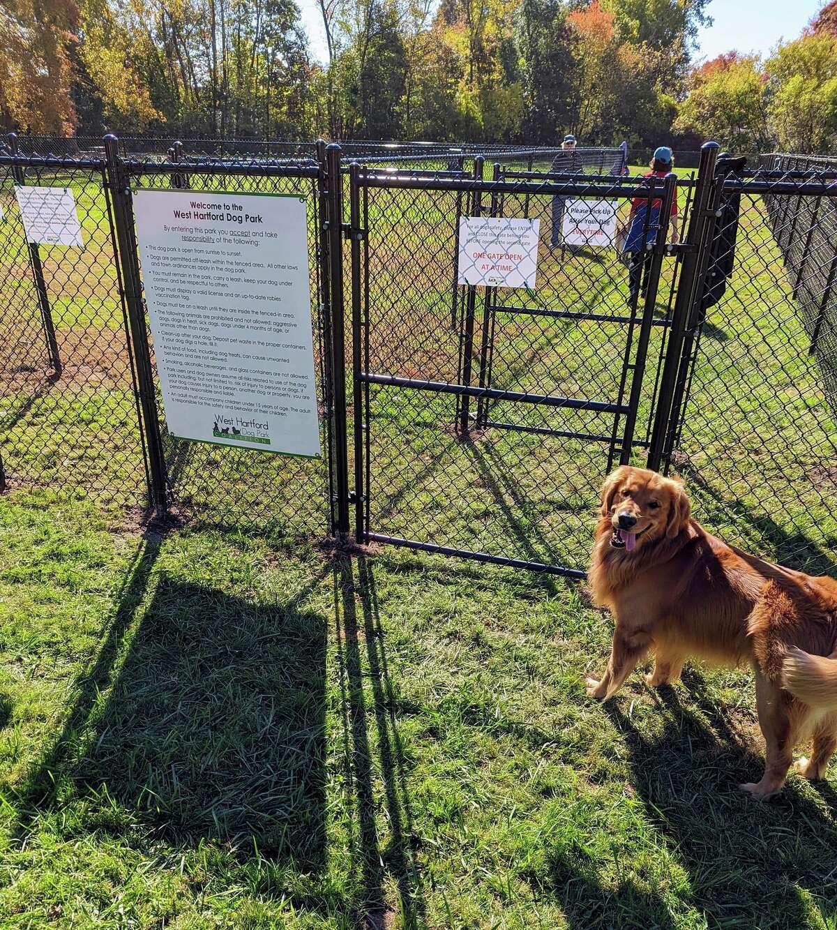 Temporary dog park opens in West Hartford