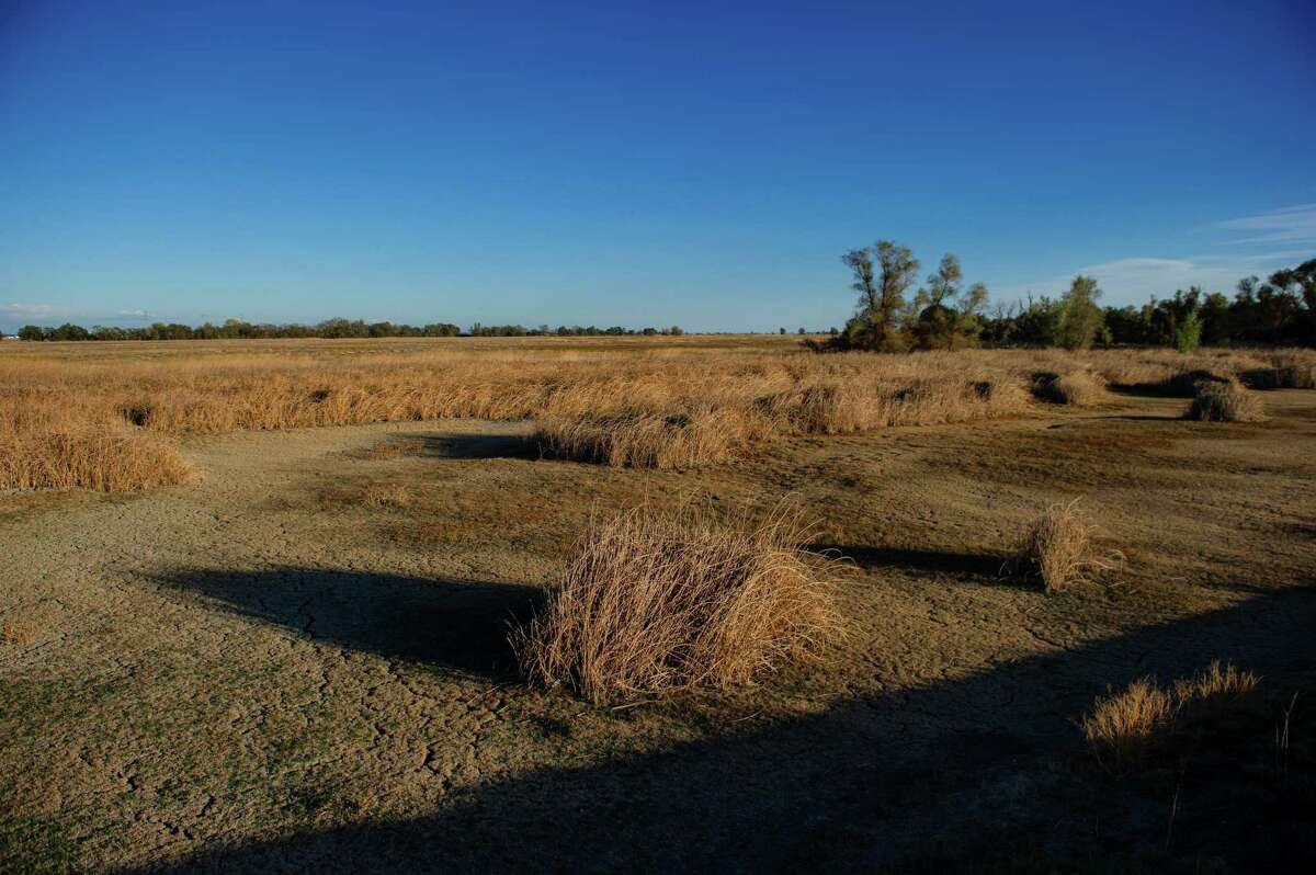 Op zaterdag 10 oktober is een droog moerasgebied te zien.  22, in het Colusa National Wildlife Refuge in Colusa, Californië.