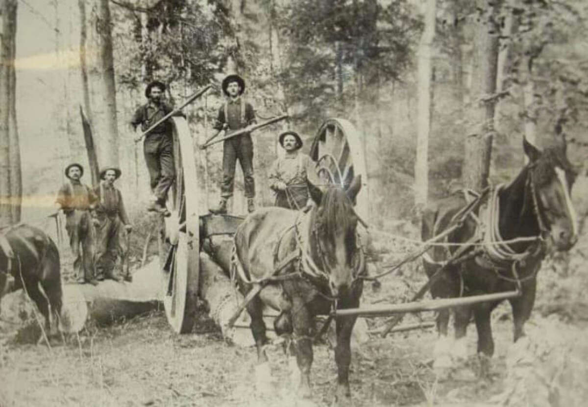 Loggers, during the lumber boom years in Lake County, knew and worked these woods — and sometimes met their unexplained fate within them.