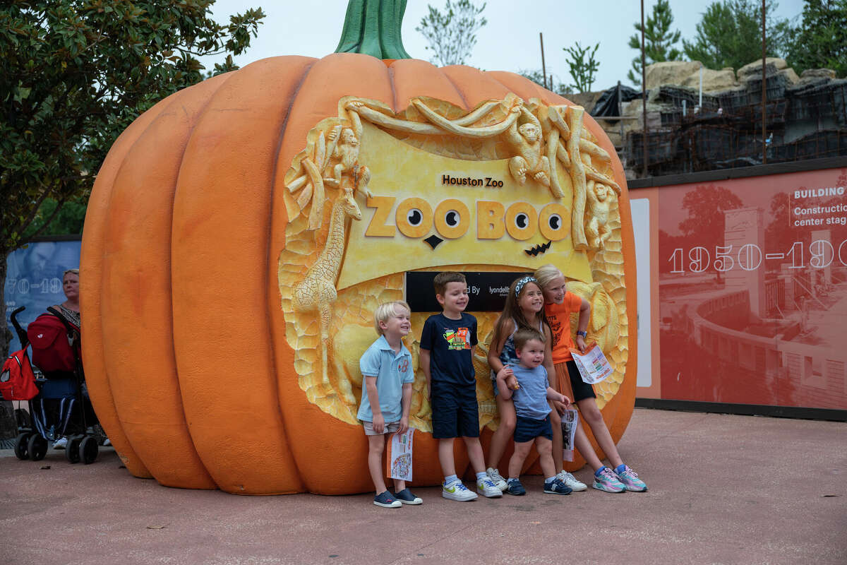 Story photo for Zoo and The M-K-T, Color Factory offer family Halloween events.