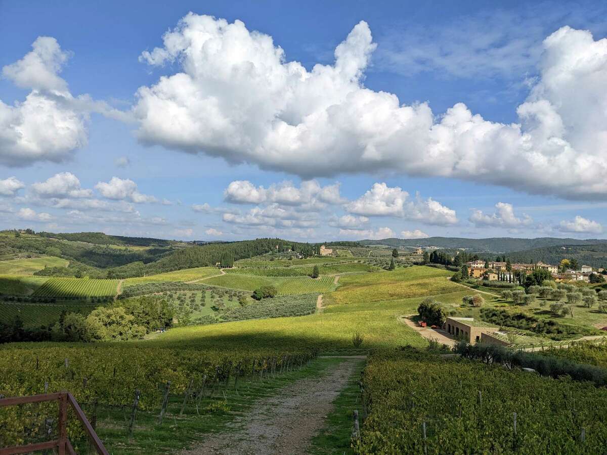 The vineyards at Castello di Monsanto, a winery that hews closely to tradition in Chianti Classico, Italy.