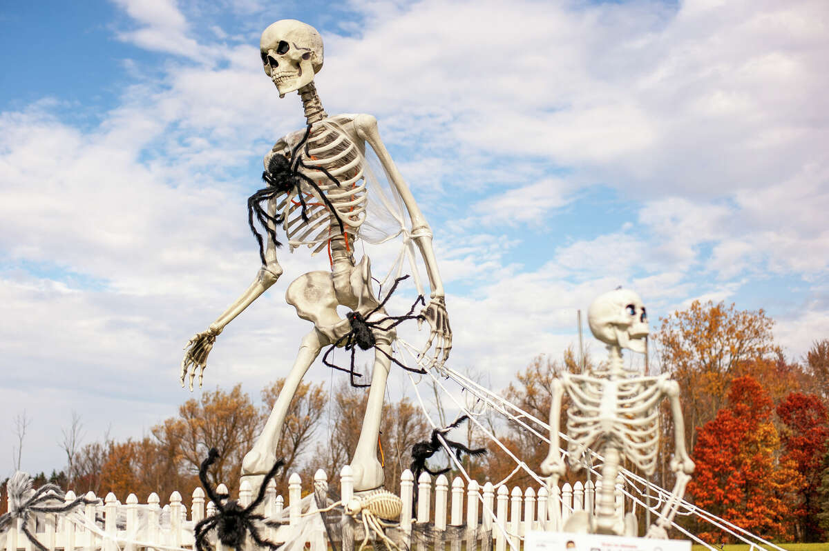 Midlander looks to raise charity money through her 12-foot skeleton