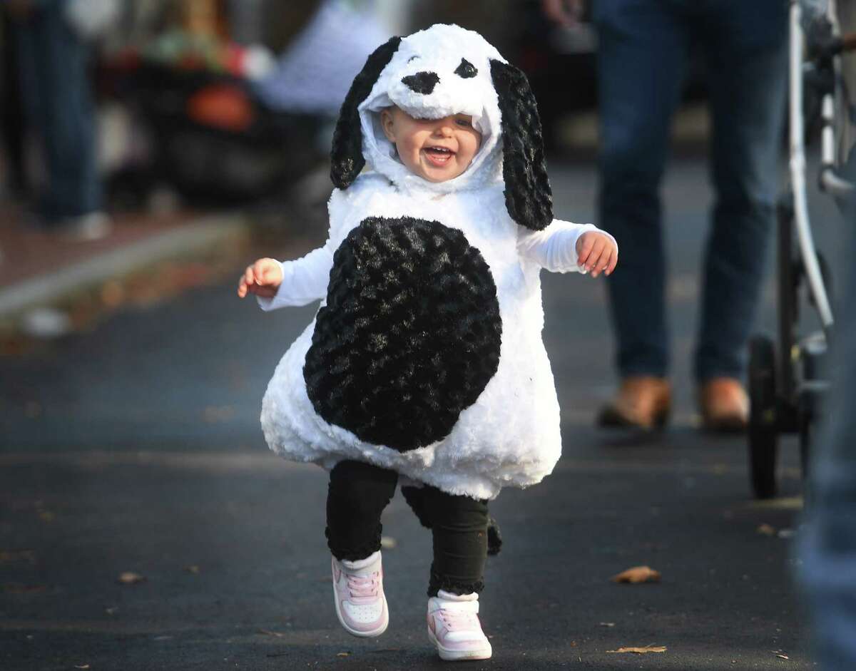 Photos Children's Halloween parade hits downtown Westport