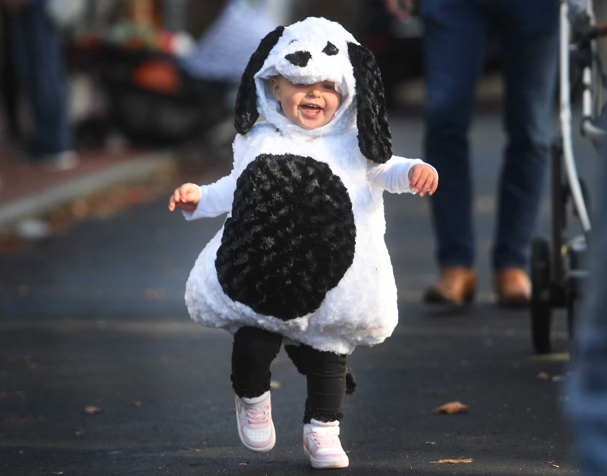 Photos Children's Halloween parade hits downtown Westport