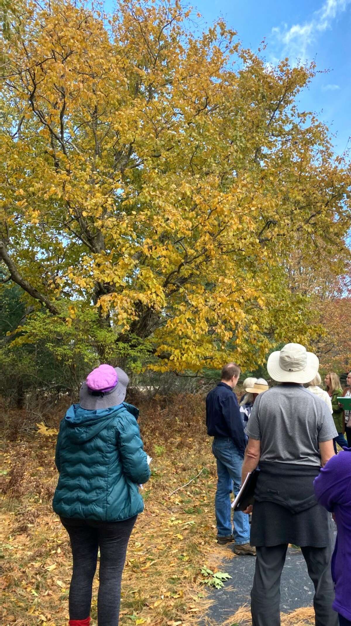 Joshua Shields (center, no hat) leading a nature discovery field trip with students on Oct. 21 at North Point Park.