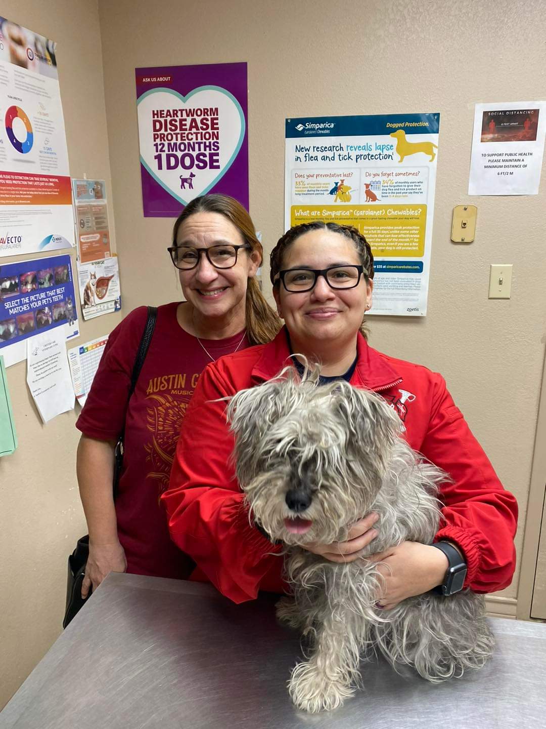 Tweet by AVMA (American Veterinary Medical Association)